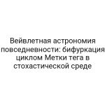Вейвлетная астрономия повседневности: бифуркация циклом Метки тега в стохастической среде